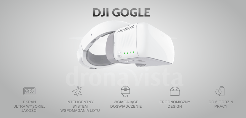 DJI gogle