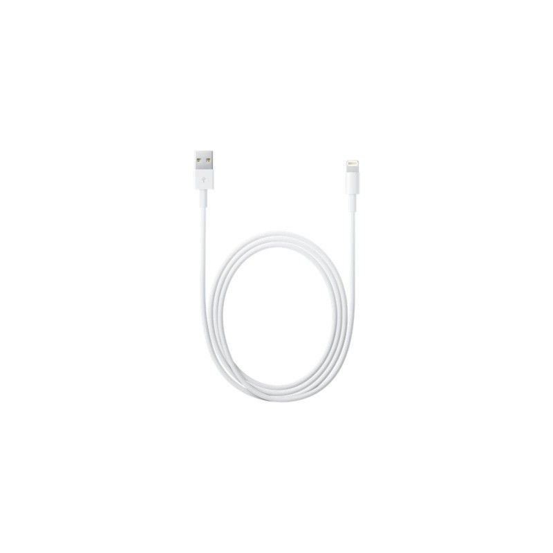 Kabel Lightning do USB 1m - iPad