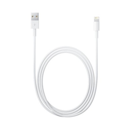 Kabel Lightning do USB 1m - iPad