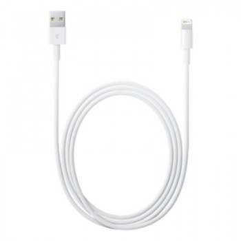 Apple Lightning to USB 1m bulk - iPad