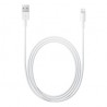 Kabel Lightning do USB 1m - iPad