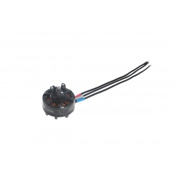 Snail Racing Propulsion System