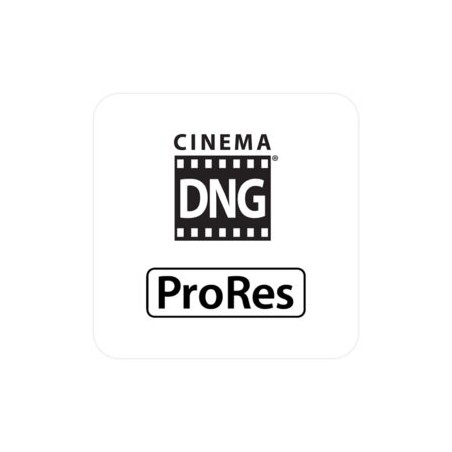 Cinema License Key