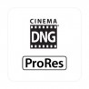 Cinema License Key