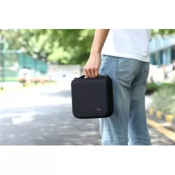Storage Box Carrying Bag - Spark