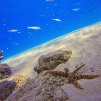 Filtry wodne dla GoPro (czerwony, magenta i różowy) - PolarPro