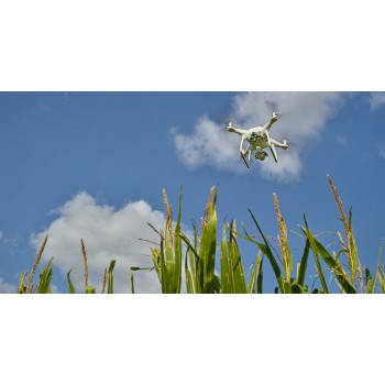 The Sentera High-Precision (ingle Sensors)