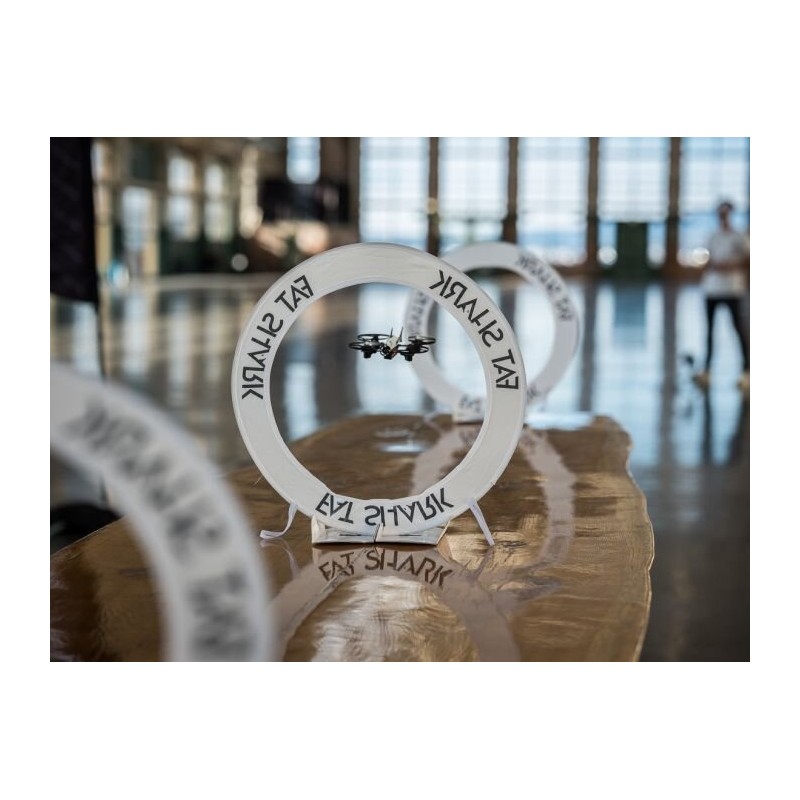 Bramki - Fat Shark 101