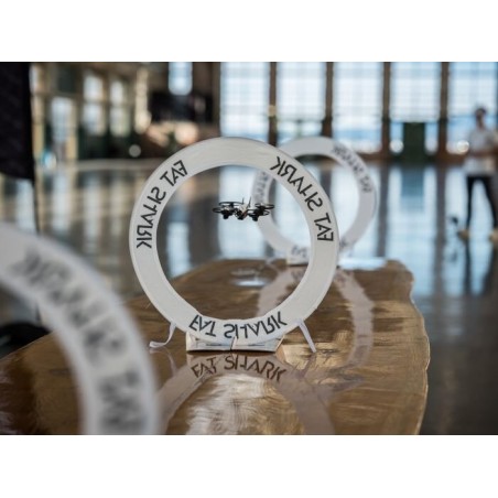 Bramki - Fat Shark 101