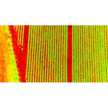 Quad Multispectral Sensor