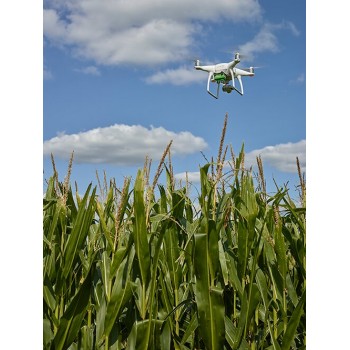 Sentera Double 4K (NDVI + NDRE)