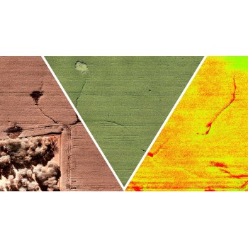 Sentera Double 4K (NDVI + NDRE)