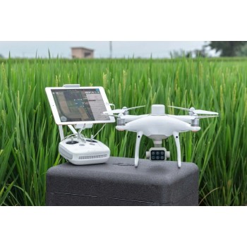 P4 Multispectral + D-RTK 2