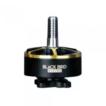 Silnik T-Motor 2207 2700kV Black Bird - 1