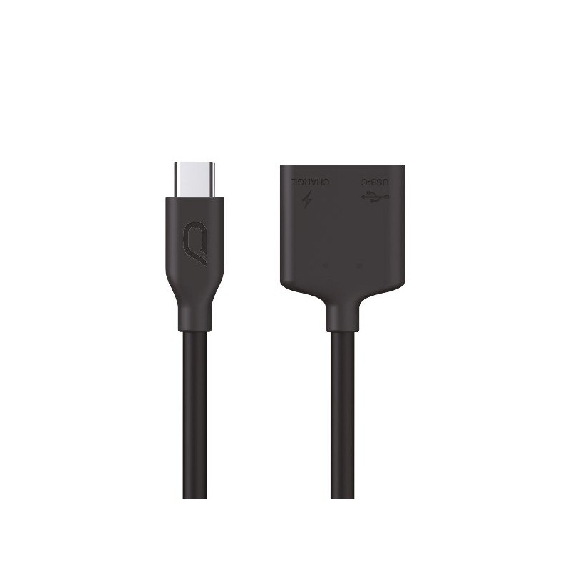 2 in 1 USB cable with dual type C ports (for live streaming via Android cellphone during chargering)