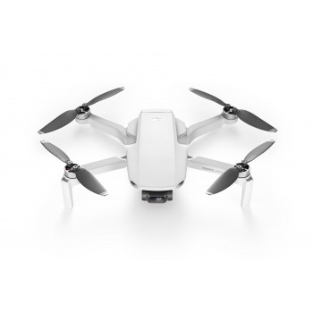Atrapa - Mavic Mini - 1