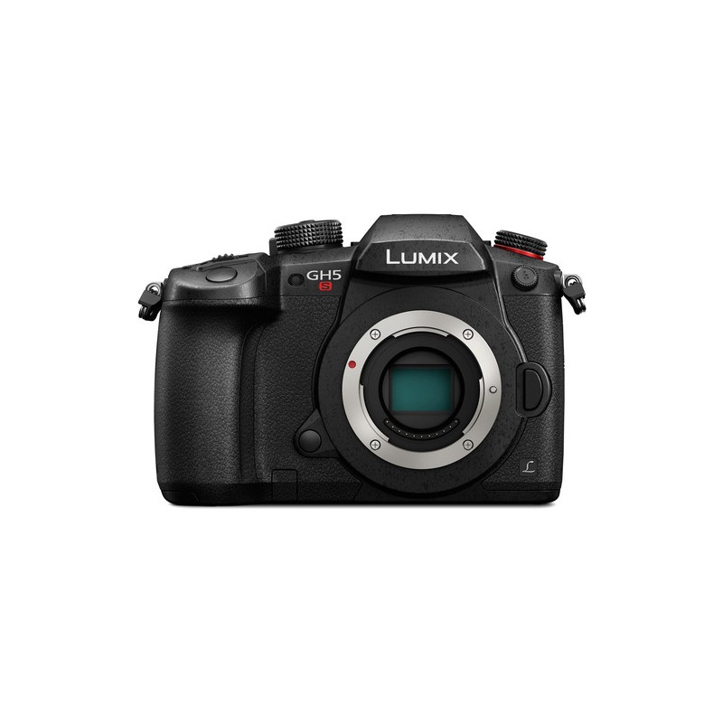 Panasonic Lumix DC-GH5S (Body)