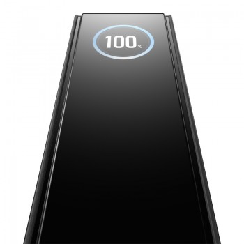 EcoFlow RAPID 25000mAh 170W Powerbank