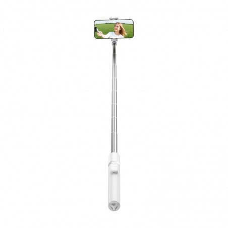 Selfie Stick with Tripod Telesin 1.8m