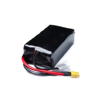 Battery Li-ion 6S2P 8000mah 10C XT60