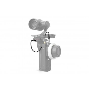 Adaptor Cable (0.2m) - Focus - Osmo Pro/RAW